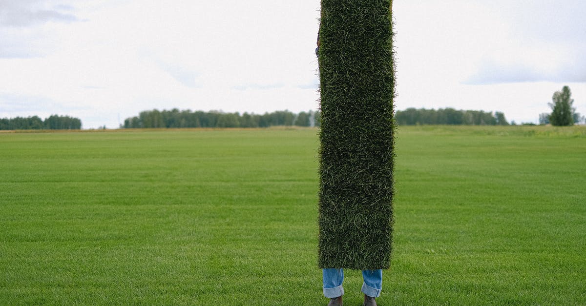 How does the terrain attack bonus promotions work? - Unrecognizable farmer with grass lawn How does the terrain attack bonus promotions work? - Unrecognizable farmer with grass lawn