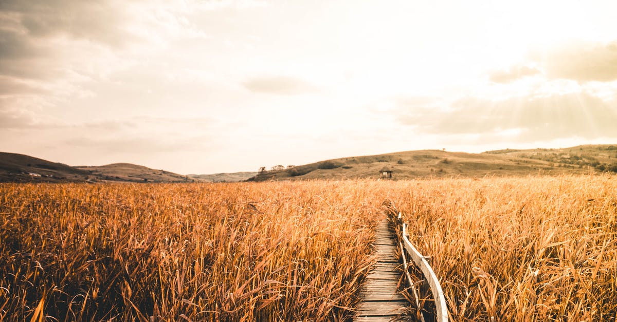 How far do I need to be from the Iron Golem farm for it to work? - Wheat Field During Golden Hour