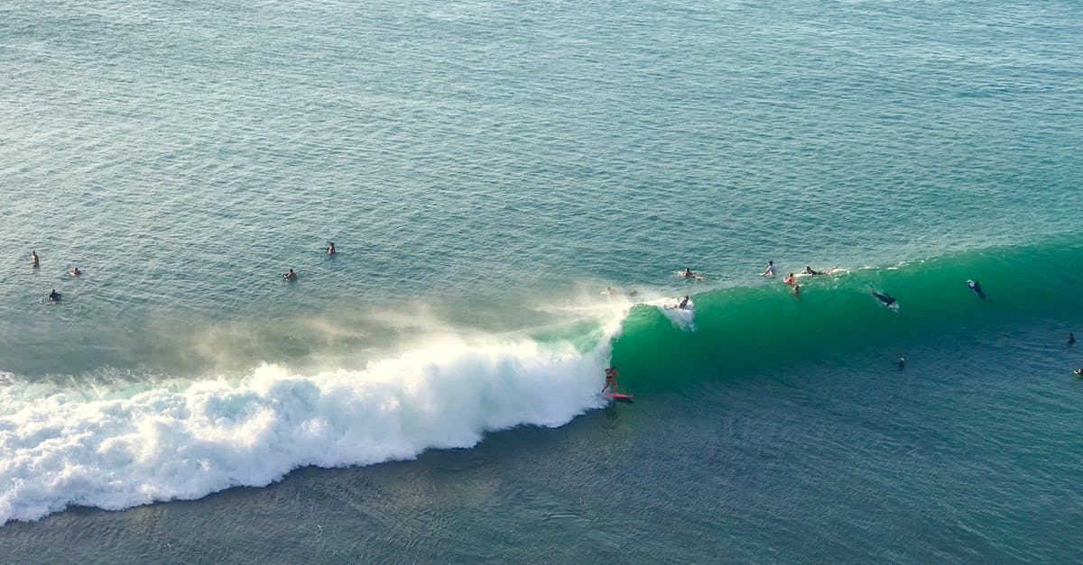 How fast do kittens gain experience? - Surfers riding surfboard on sea waves How fast do kittens gain experience? - Surfers riding surfboard on sea waves