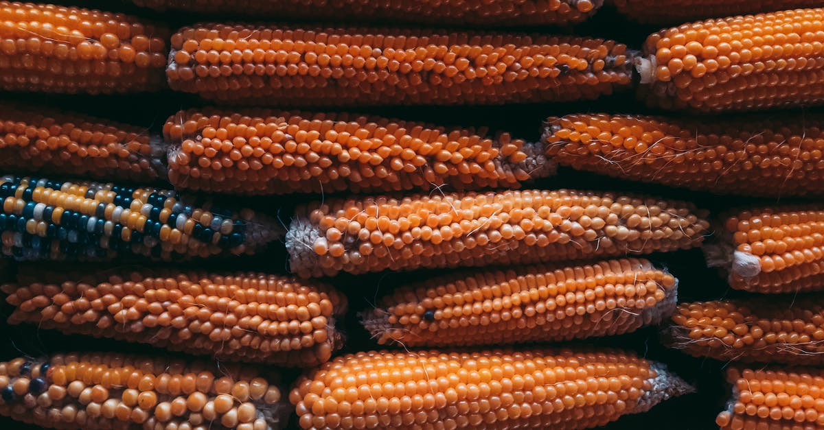 How get unlimited "free" Flint, aka a Flint farm? - Flint Corn in Close Up Photography How get unlimited "free" Flint, aka a Flint farm? - Flint Corn in Close Up Photography