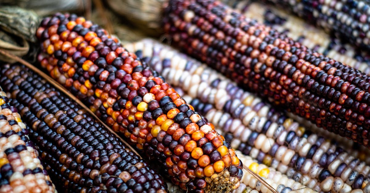 How get unlimited "free" Flint, aka a Flint farm? - Close-Up Shot of Corns How get unlimited "free" Flint, aka a Flint farm? - Close-Up Shot of Corns