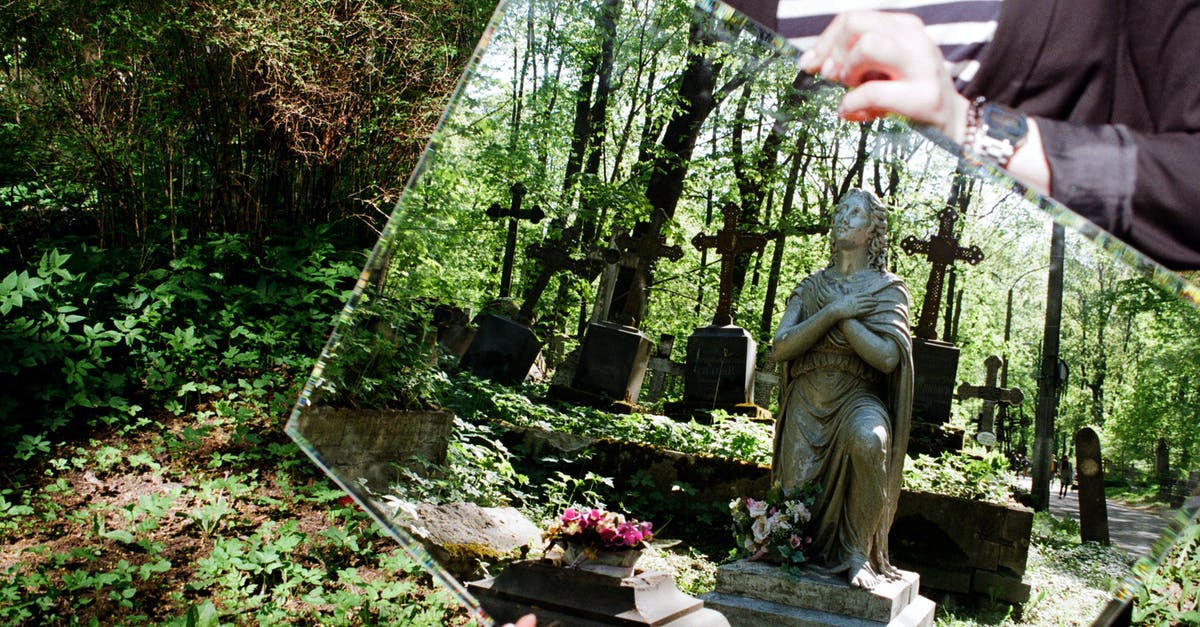 How great is the effect of trees on noise pollution? - Man Themed Statue