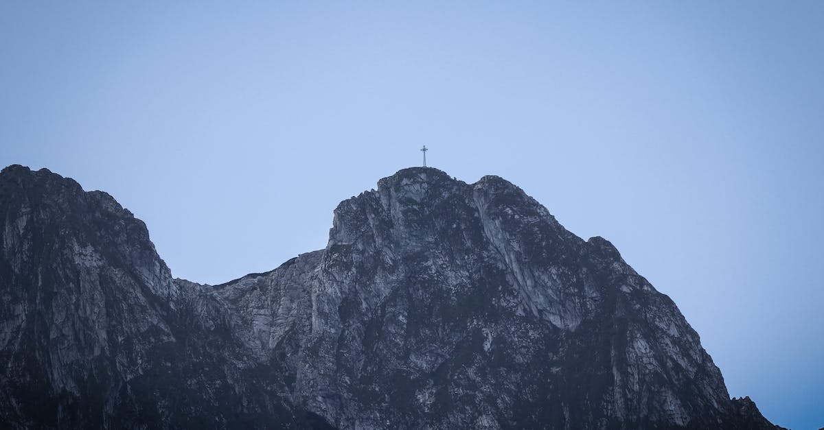 How great is the effect of trees on noise pollution? - Person Standing on Top of Mountain