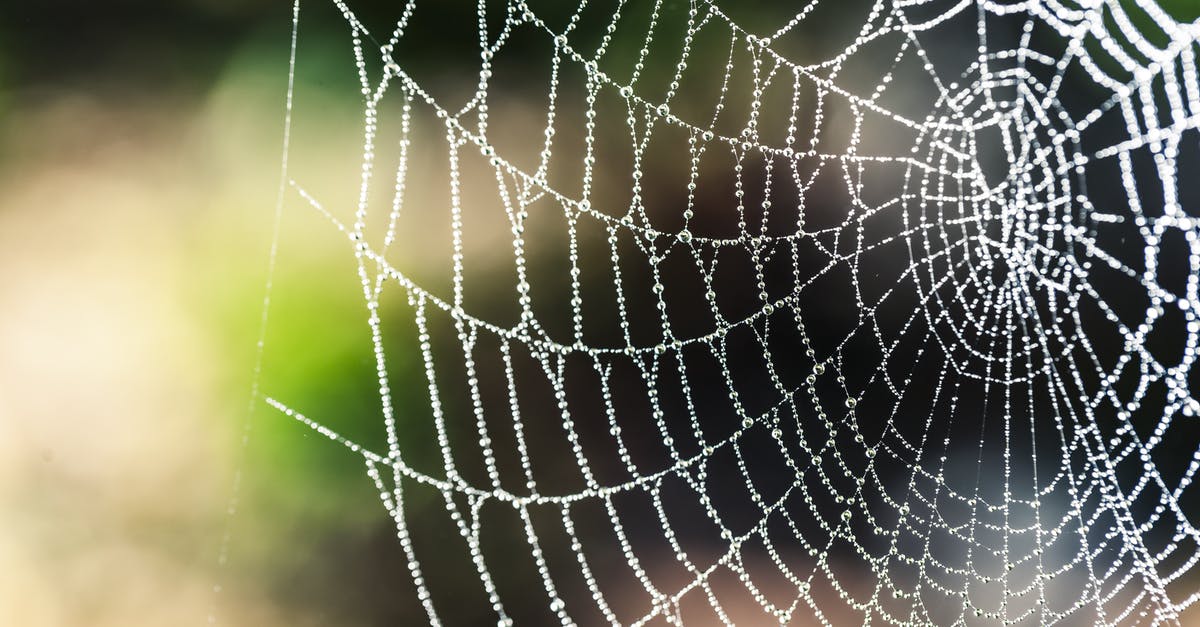 How is a hero's Net Worth calculated? - Spider Web Selective Focus Photography