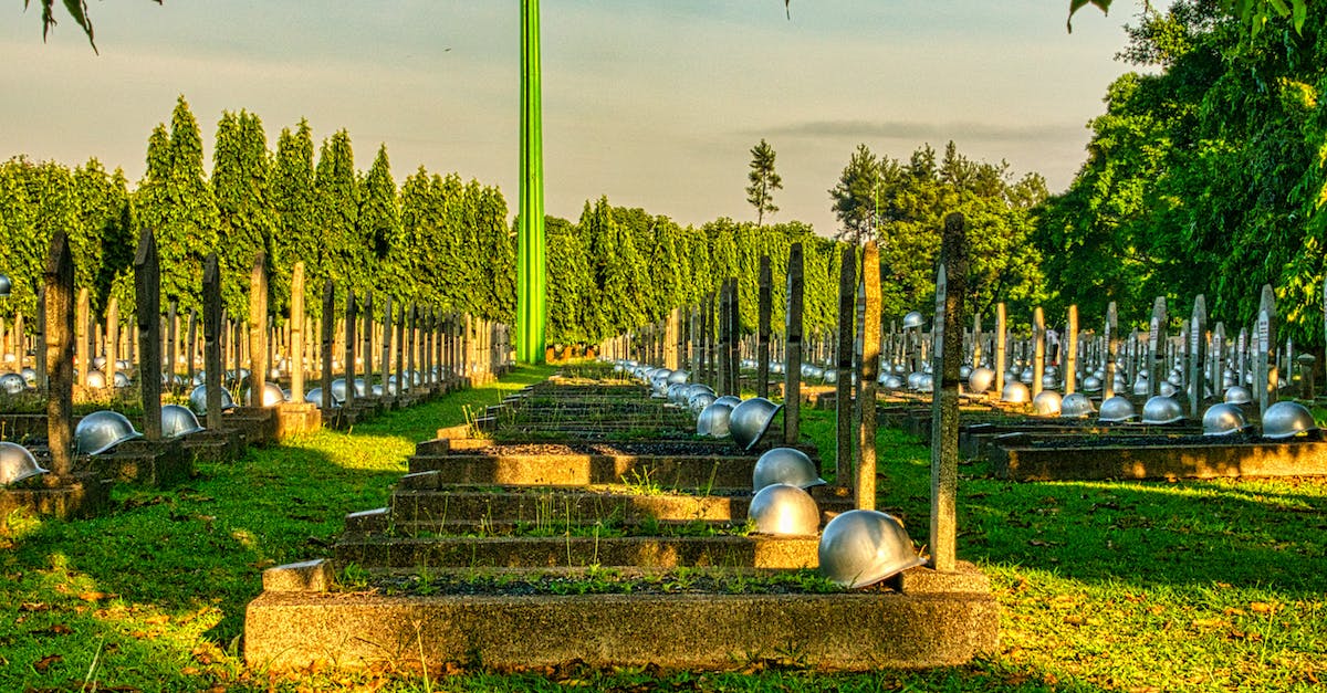 How is credit for hero kills by allied towers and creeps determined? - Various tombstones with military hardhats located on grassy ground in national main heroes cemetery against green trees and tall structure How is credit for hero kills by allied towers and creeps determined? - Various tombstones with military hardhats located on grassy ground in national main heroes cemetery against green trees and tall structure