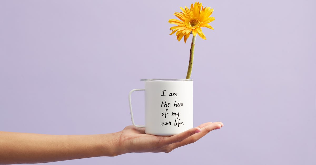 How is the "all social link completion" trophy flagged? - Yellow Petaled Flower In White Mug