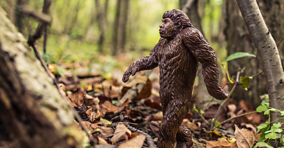 How is the skillset of an evolution being chosen? - Apeman Garden Decor Close-up Photography