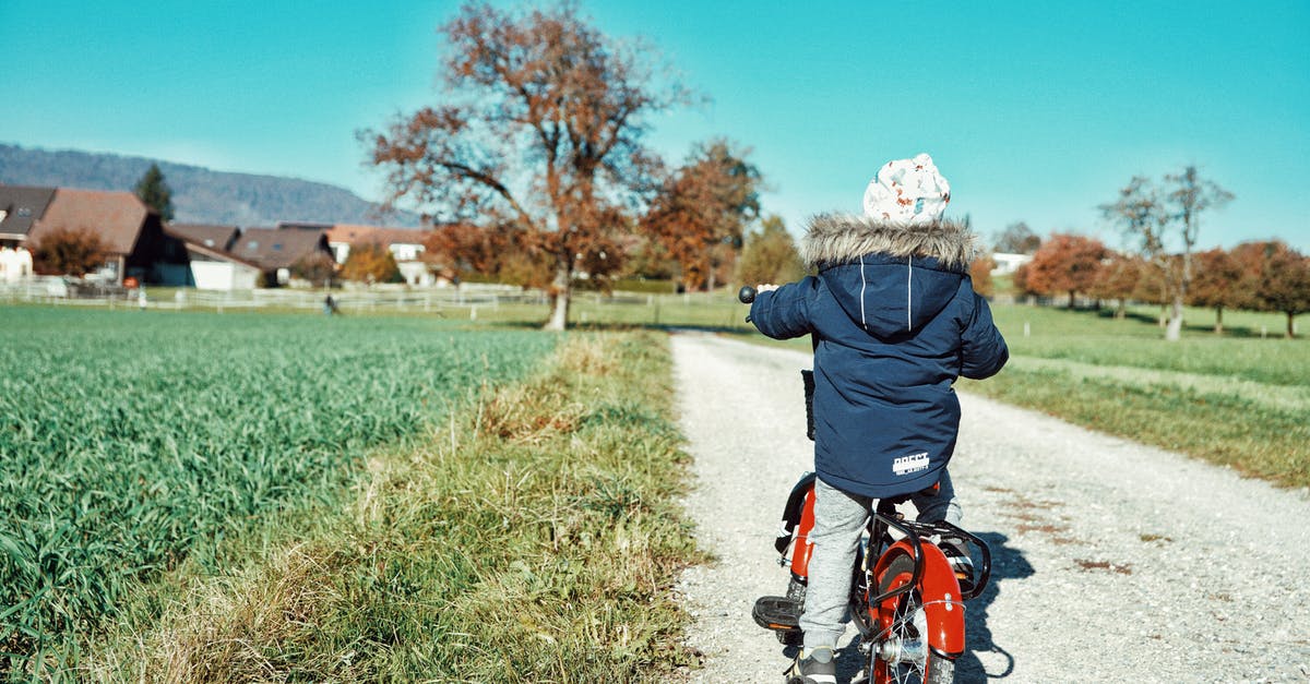 How is the Wii Wheel detected? - A Kid Biking on the Farm Road