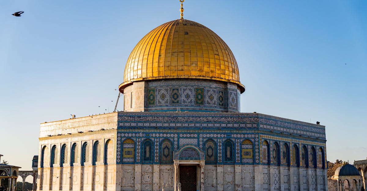 How is Xenodrome better than Xeno Sanctuary - Dome of The Rock, Jerusalem