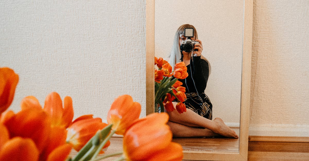 How long can it take to 'repair' a room? - Woman in Black Dress Sitting on Brown Wooden Floor