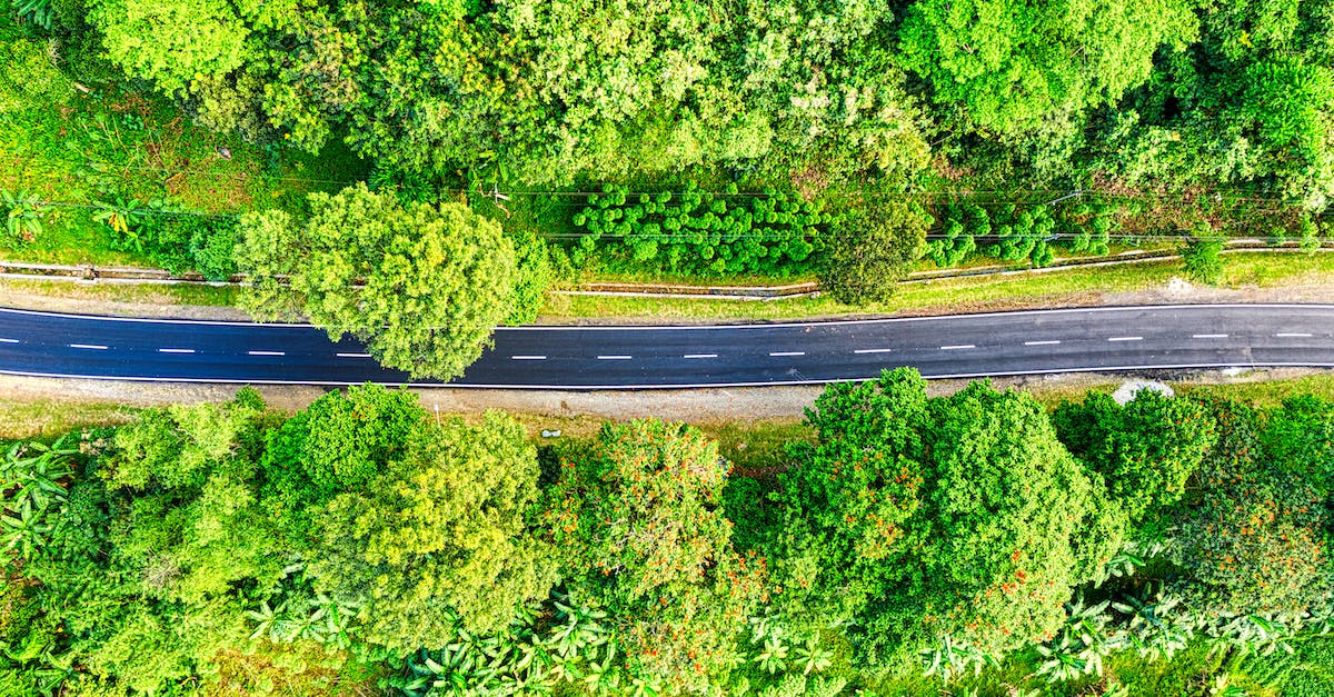 How long do fortresses stay weakened? - Black Car on Road Near Green Trees