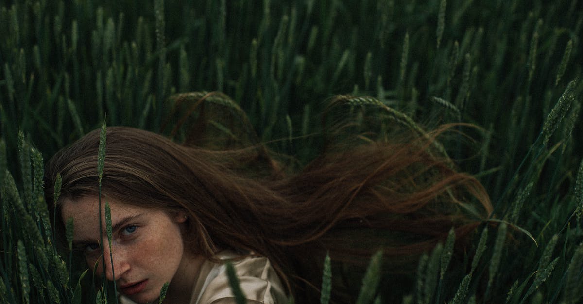 How long do I have until my crops wither? - Blond Woman with Freckled Face Hiding in Crop Field