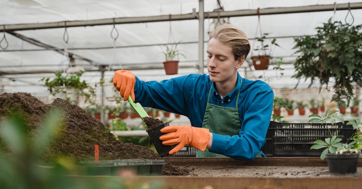 How long do Oil Urns last? - Man Putting Soil on the Black Pot