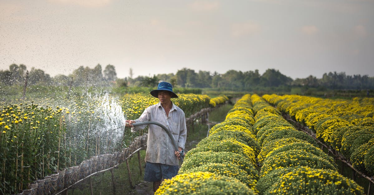 How long do trees take to grow in Farming Simulator 2015? - Man Spraying Water on Flower Field