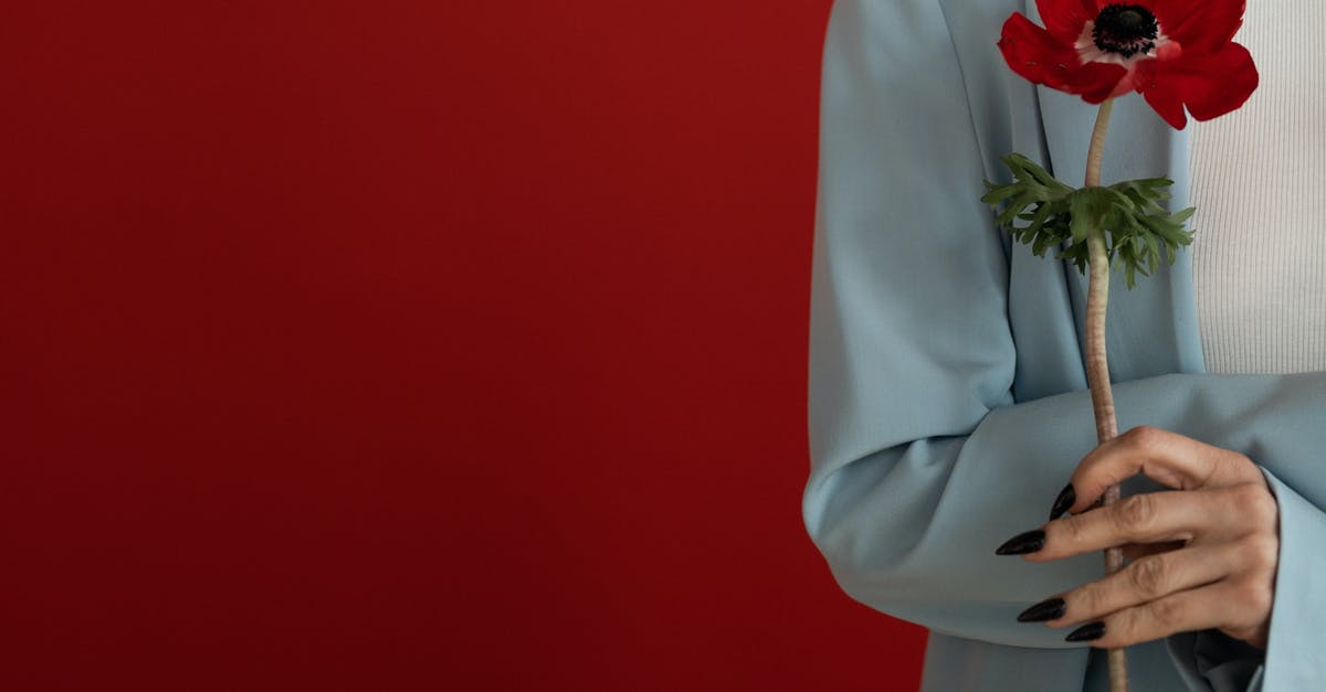 How long does a 3DS have when the light turns red? - Faceless female with red blooming flower How long does a 3DS have when the light turns red? - Faceless female with red blooming flower