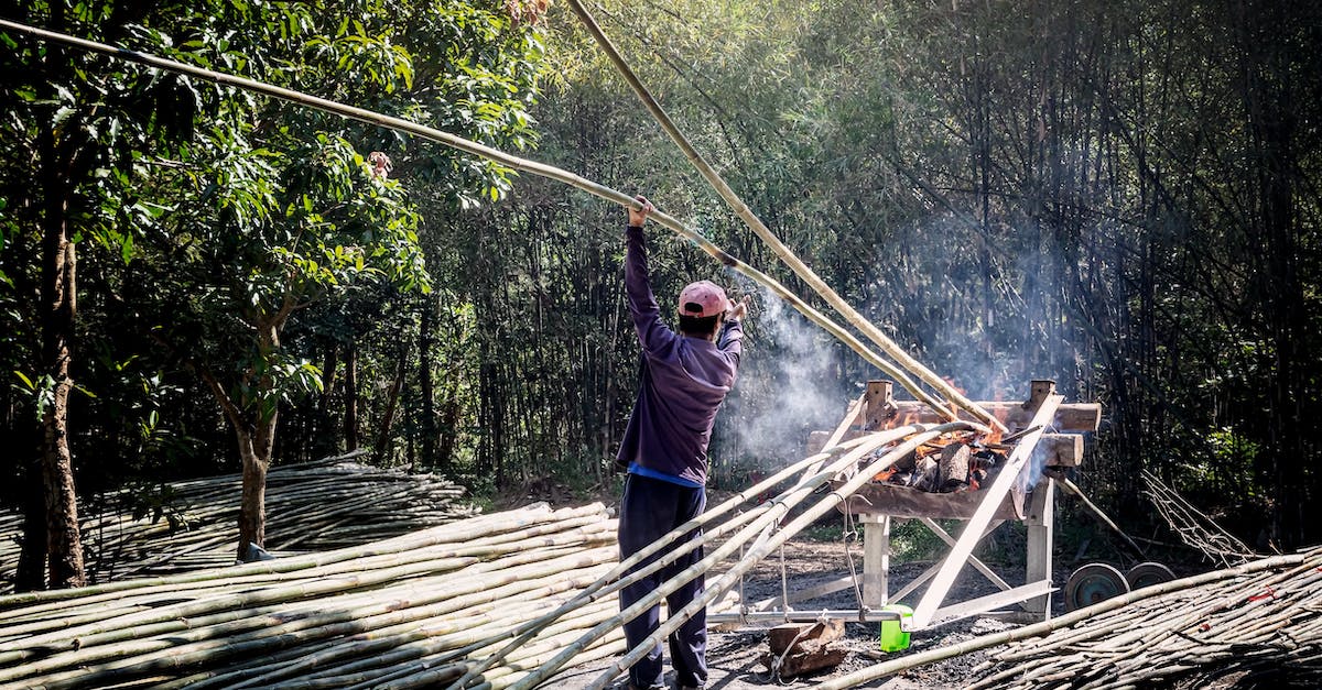 How long does a stack of the Spell Weaving mastery last? - Back view of anonymous male worker in casual wear standing near pile of bamboo sticks while drying thin long trunks in wooden construction with fire smoke near green trees How long does a stack of the Spell Weaving mastery last? - Back view of anonymous male worker in casual wear standing near pile of bamboo sticks while drying thin long trunks in wooden construction with fire smoke near green trees