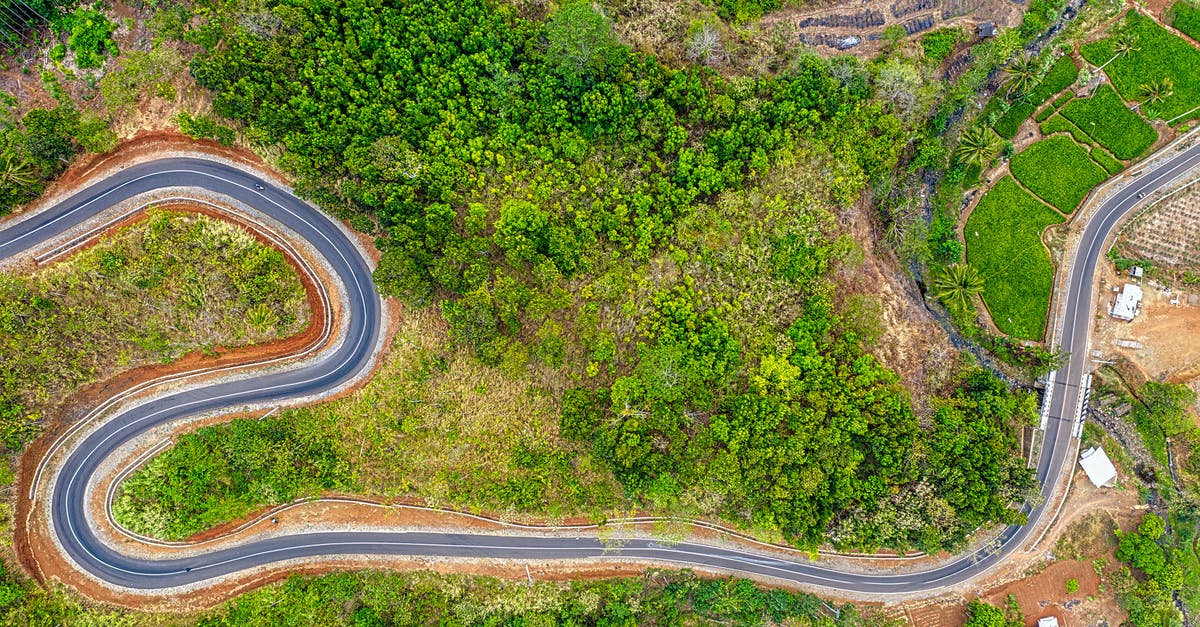 How long does it take for the debuffs from Red's Wings to start? - A Zigzagging Road In A Mountain