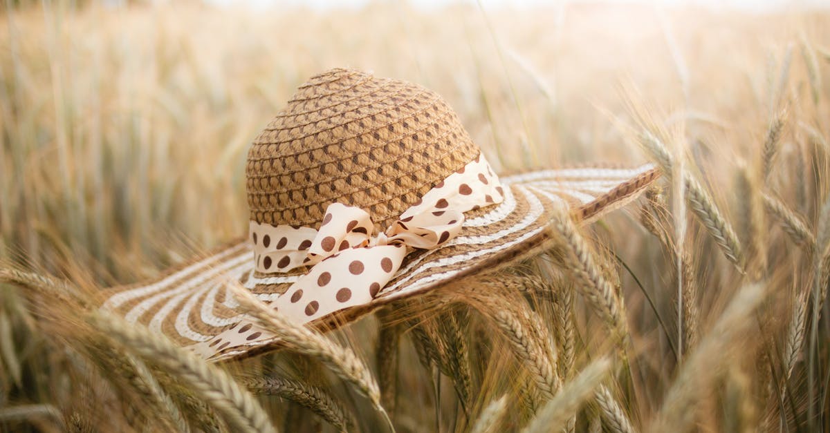 How long does it take for wheat crops to grow in Minecraft? - Shallow Focus Photo of Brown Straw Hat on Wheat Field How long does it take for wheat crops to grow in Minecraft? - Shallow Focus Photo of Brown Straw Hat on Wheat Field