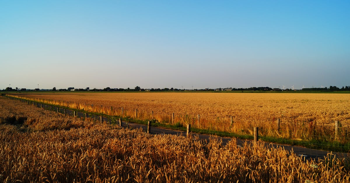 How long does it take for wheat crops to grow in Minecraft? - Dried Plants How long does it take for wheat crops to grow in Minecraft? - Dried Plants