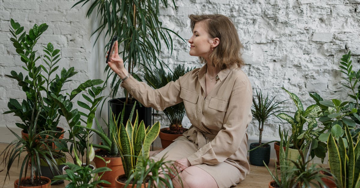 How long does it take plants to grow? - Woman in Brown Coat Sitting on Brown Wooden Table