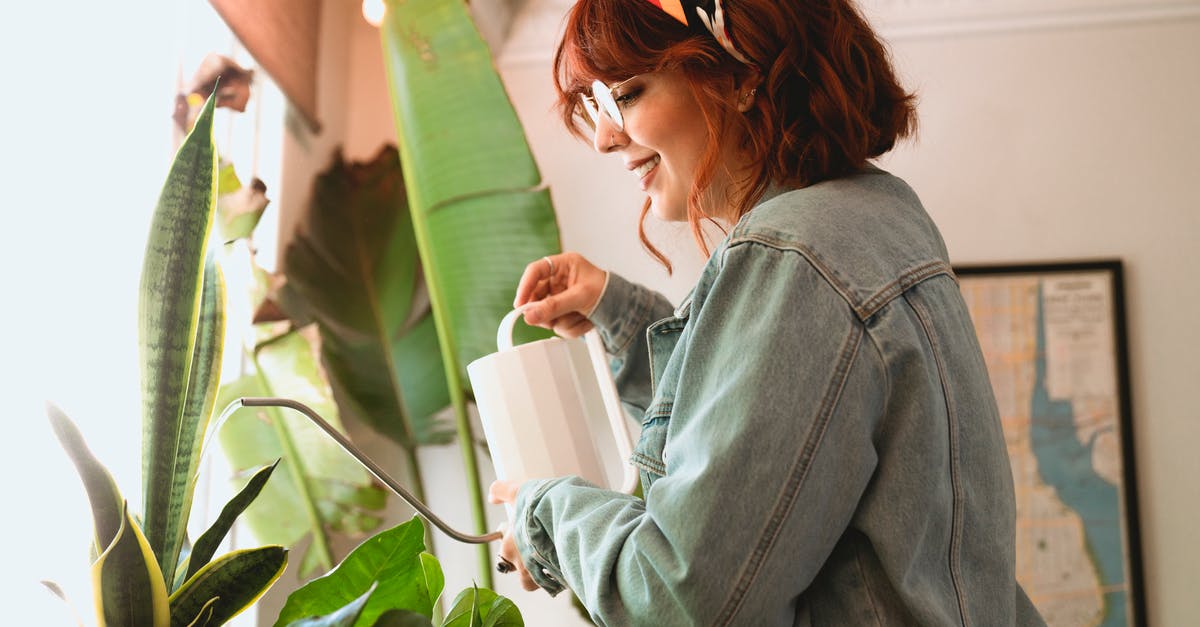 How long does it take to upgrade the watering can? - Woman Taking Care of Her Houseplants
