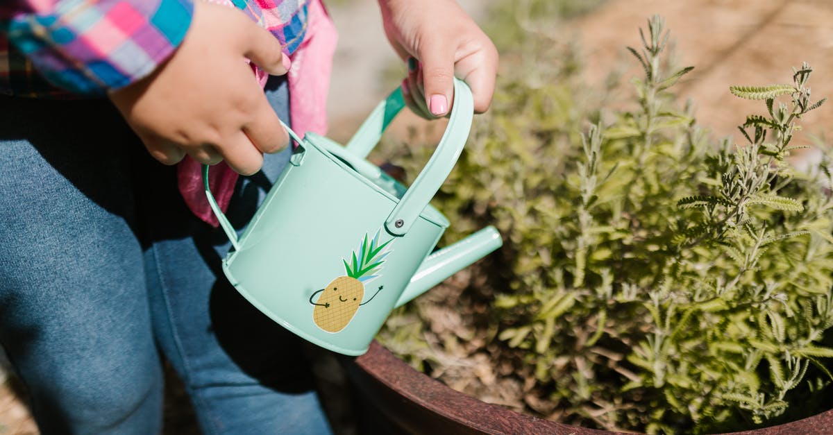 How long does it take to upgrade the watering can? - Person Holding Watering Can 