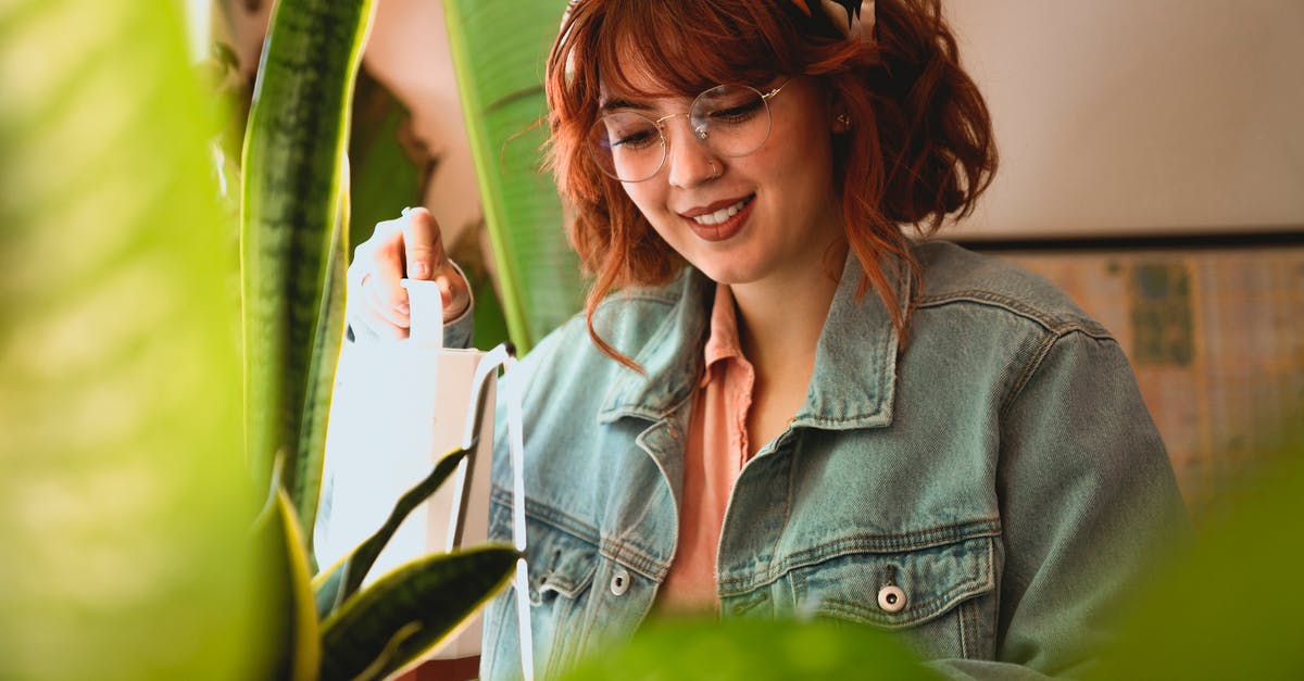 How long does it take to upgrade the watering can? - Woman Taking Care of Her Houseplants
