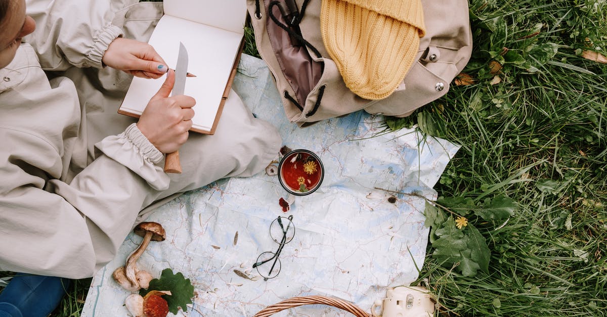 How long does Lazy Mushroom last? - A Person Sharpening a Pencil with a Knife How long does Lazy Mushroom last? - A Person Sharpening a Pencil with a Knife