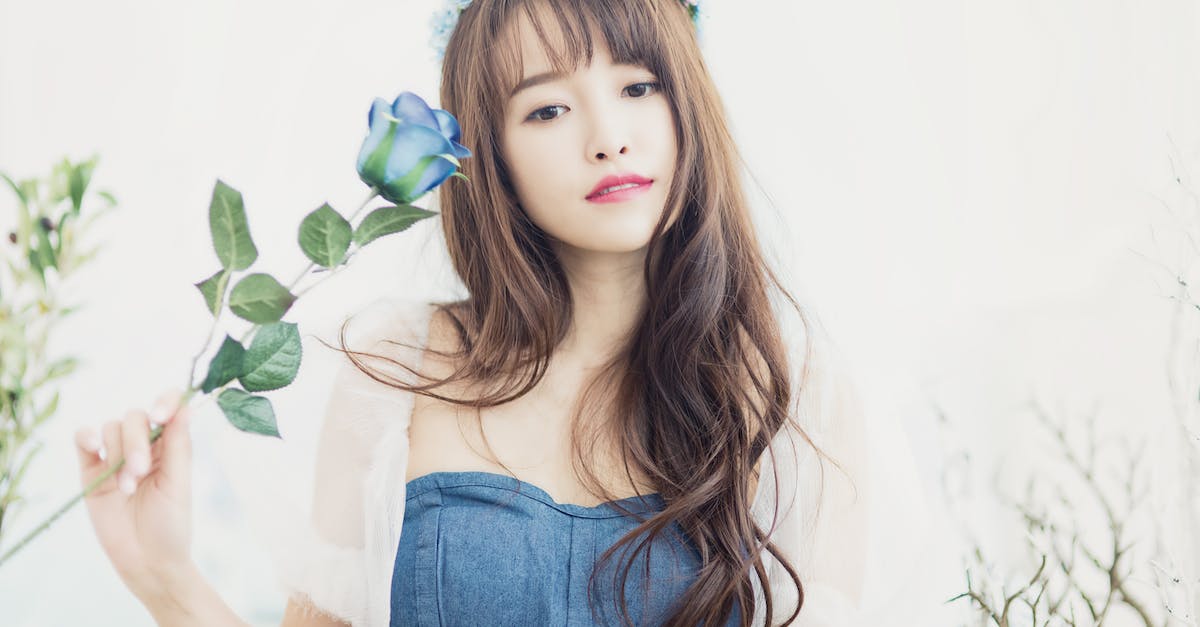 How long does the Feast of the Exceptional Rose last? - Woman Holding Blue Petaled Flower How long does the Feast of the Exceptional Rose last? - Woman Holding Blue Petaled Flower