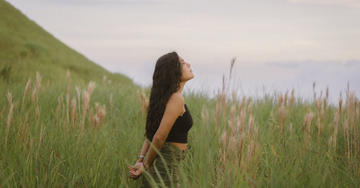 How long is the Dominion of Winds in Guild Wars 2? - Girl with Long Brown Hair Standing in Grassland How long is the Dominion of Winds in Guild Wars 2? - Girl with Long Brown Hair Standing in Grassland