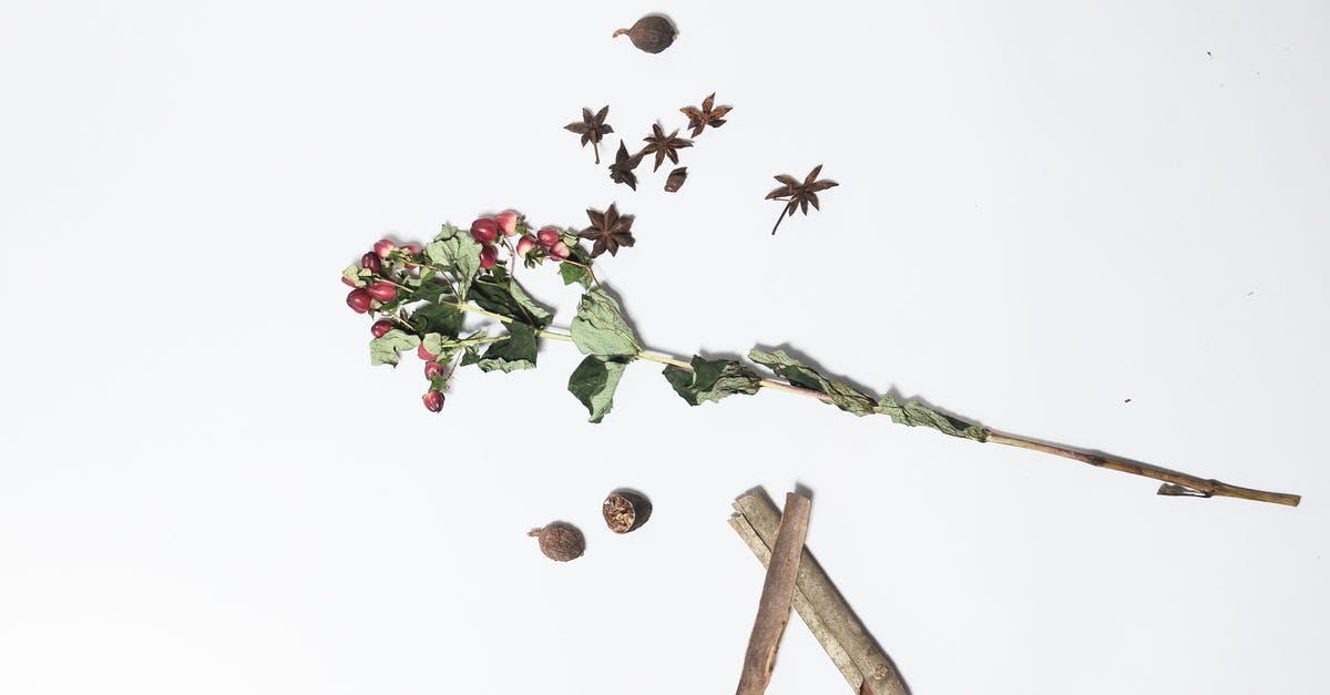 How long raw, roasted, salted, smoked or dried fish/meat each lasts in the cellar? - Top view of hypericum with long green stem and dried leaves near anise and sticks of cinnamon on white background