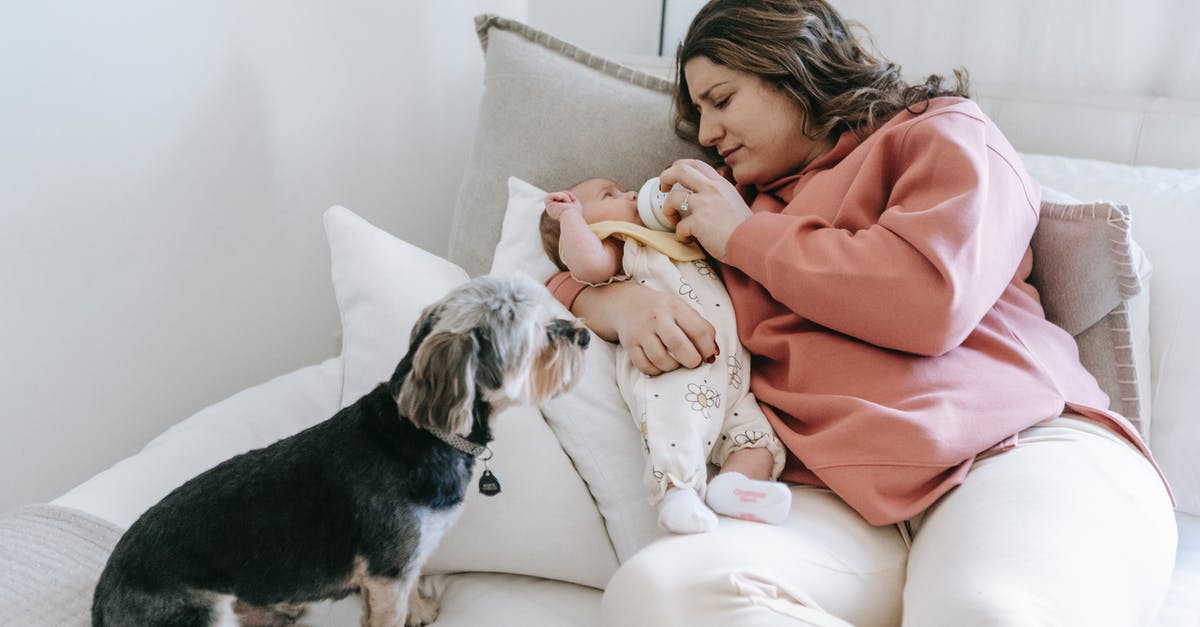 How long should I wait between feeding my dog? - Free stock photo of baby, bed, bedroom How long should I wait between feeding my dog? - Free stock photo of baby, bed, bedroom