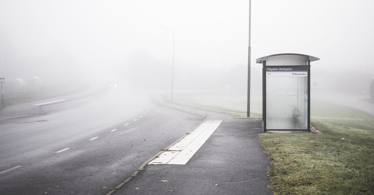 How long until tamed wolves stop attacking in Minecraft? - Empty Road With Fog