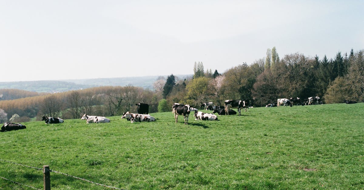 How many harvests do trees and livestock last? - Cows grazing on meadow in countryside How many harvests do trees and livestock last? - Cows grazing on meadow in countryside