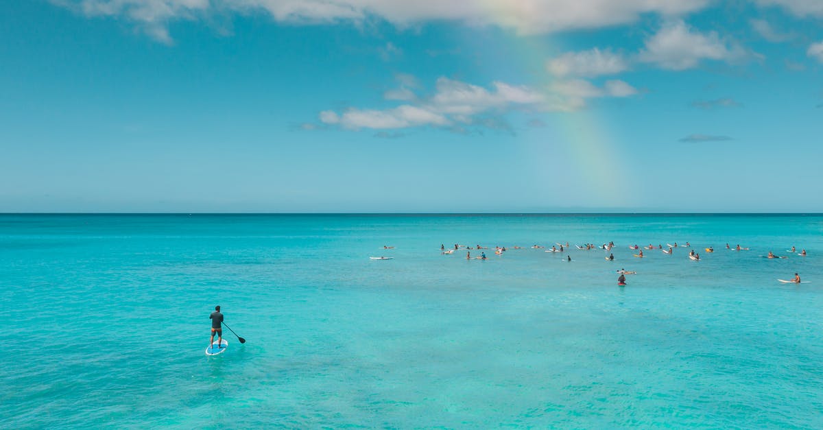 How many hours are in a day? - People Surfing and Paddle Boarding in the Sea