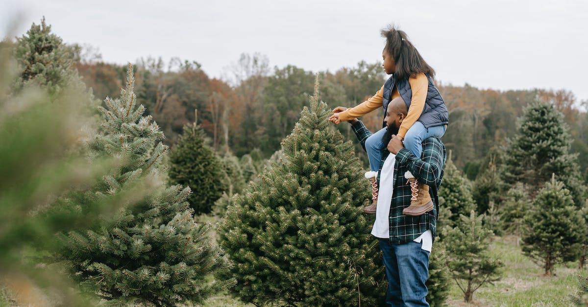How many levels are there in Wario's Woods for the NES? - Side view of African American dad carrying girl on shoulders while touching fir tree branches cultivating for Christmas