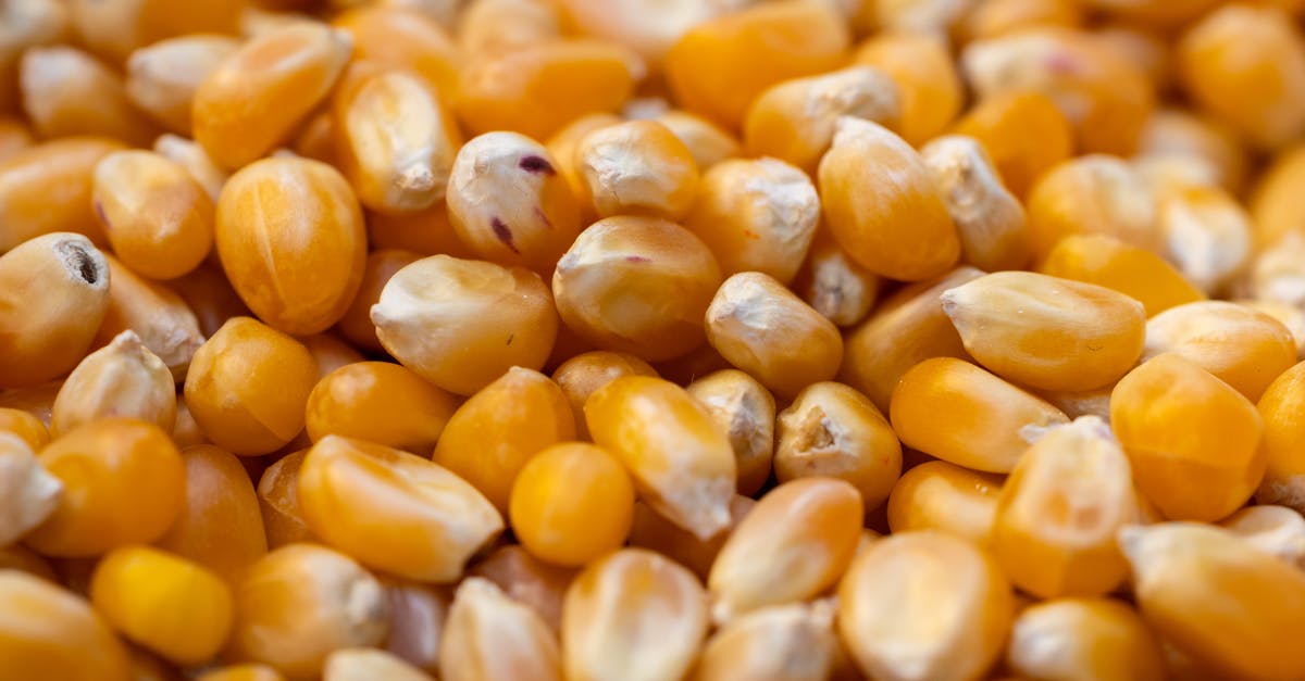 How many perfect pandora seeds exist? - Natural Yellow Dried Corn How many perfect pandora seeds exist? - Natural Yellow Dried Corn