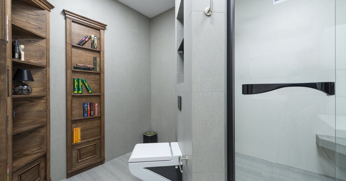 How many PS+ subscriptions do we need to play on a private server over the Internet? - White toilet placed between glass shower cabin and various decorations on wooden shelves in light modern bathroom with creative design