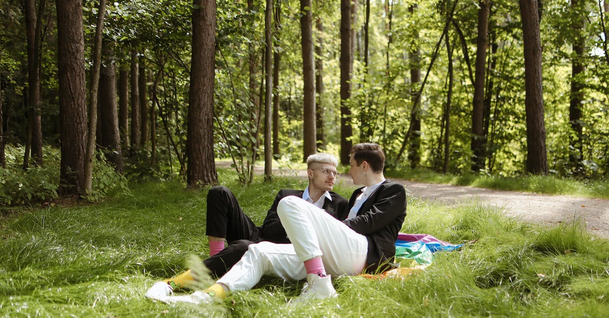 How much does Insight affect your Frenzy resistance? - People Sitting on Green Grass Field