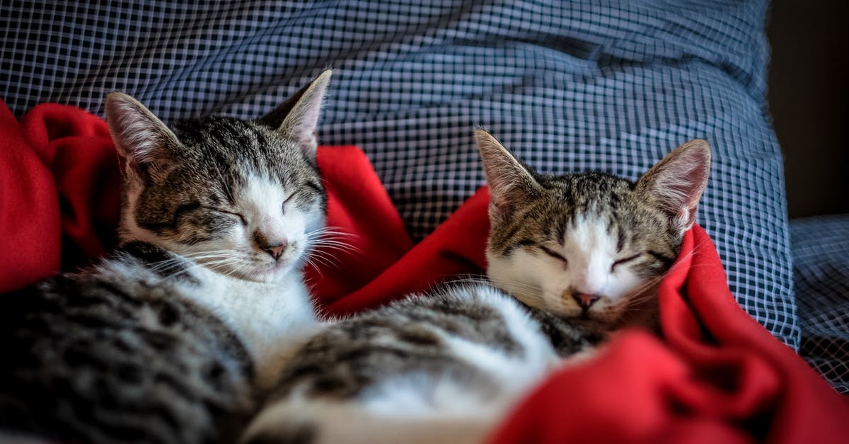 How much more CpS do kittens give? - Black and White Tabby Cats Sleeping on Red Textile