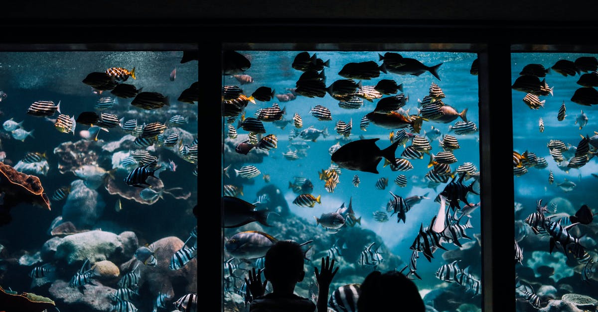 How often animals are respawned in oases? - People Watching Fishes in Aquarium How often animals are respawned in oases? - People Watching Fishes in Aquarium