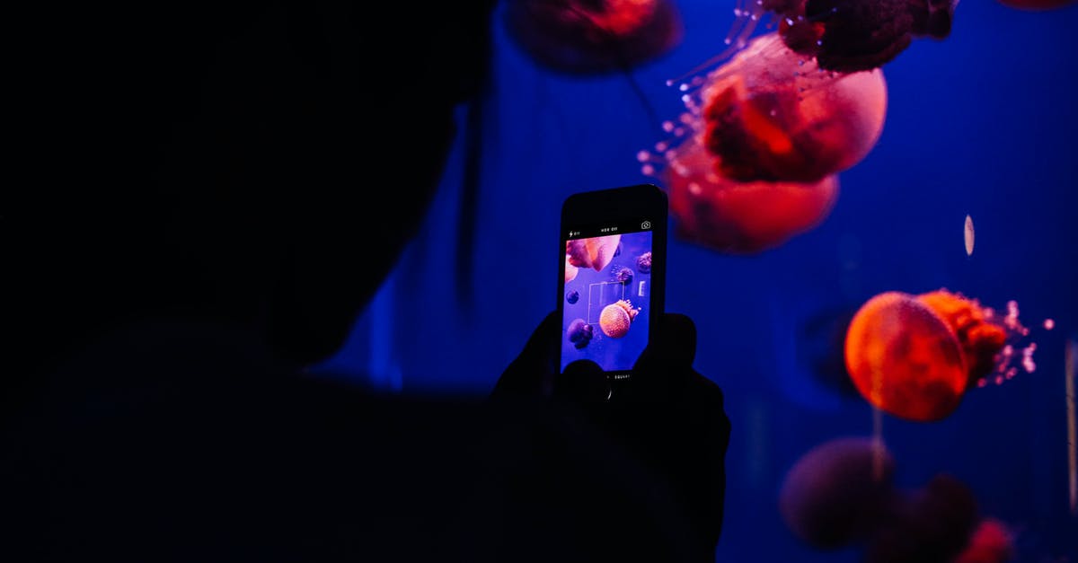 How often animals are respawned in oases? - Person Taking Photo of Blue and Pink Lights How often animals are respawned in oases? - Person Taking Photo of Blue and Pink Lights