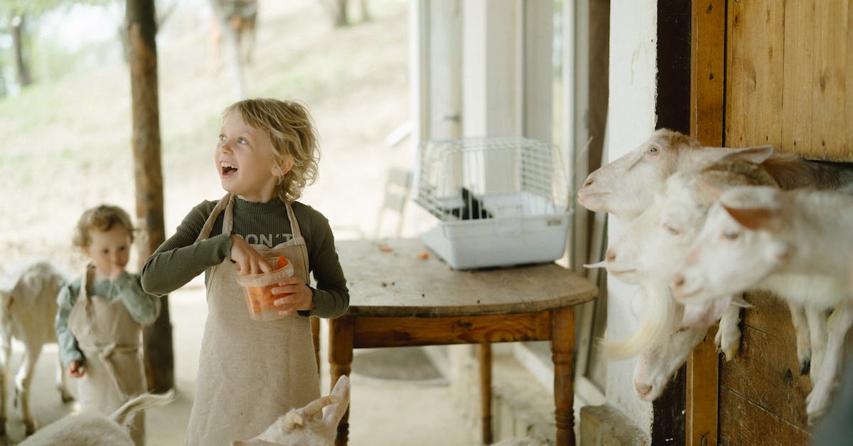 How often do animals respawn in MCPE? - Girl in Gray Jacket Feeding White Goat