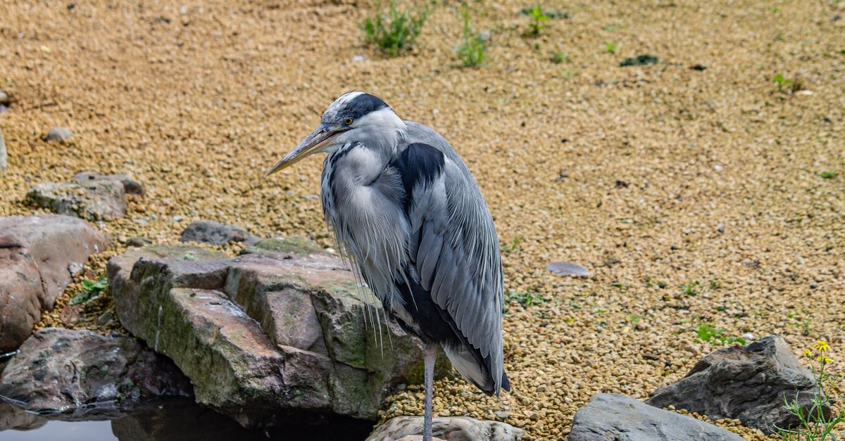 How often do siege creeps spawn? - Heron Perched on a Stone How often do siege creeps spawn? - Heron Perched on a Stone
