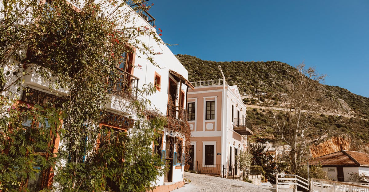 How often does foliage spawn? - Houses on Alley in Town