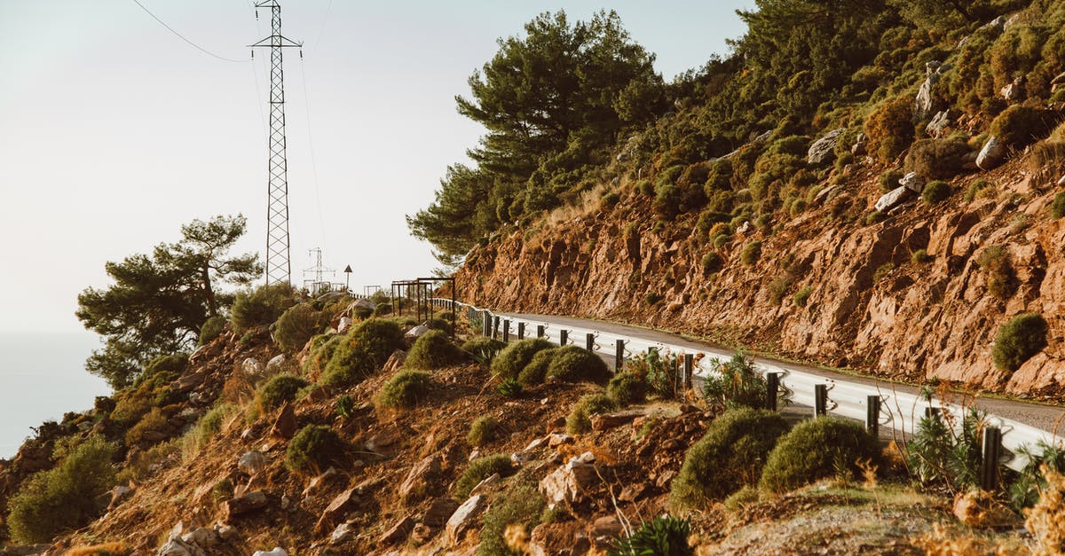 How often does foliage spawn? - Road on Hill How often does foliage spawn? - Road on Hill