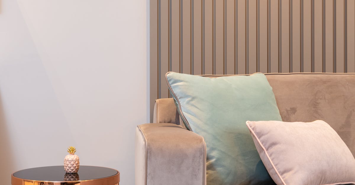 How often should I visit to see whether Tubbs will lounge on the giant cushion? - Soft cozy sofa with cushions placed near round coffee table in light contemporary living room