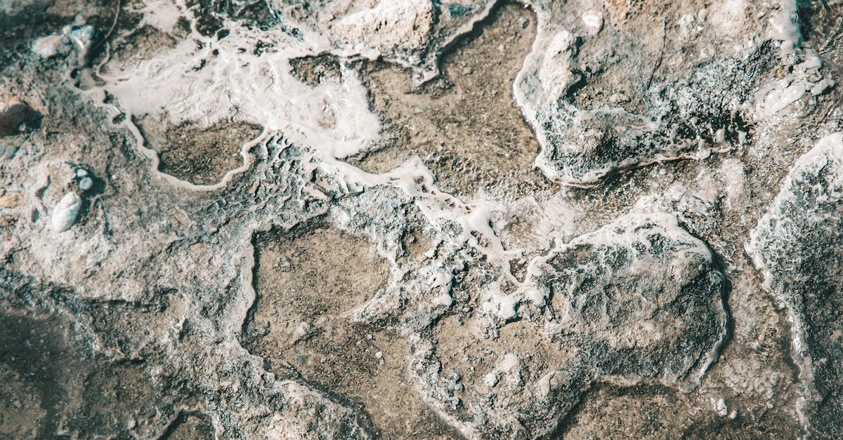 How Quickly does the Soil Erode in Banished? - Close up of Dry Soil
