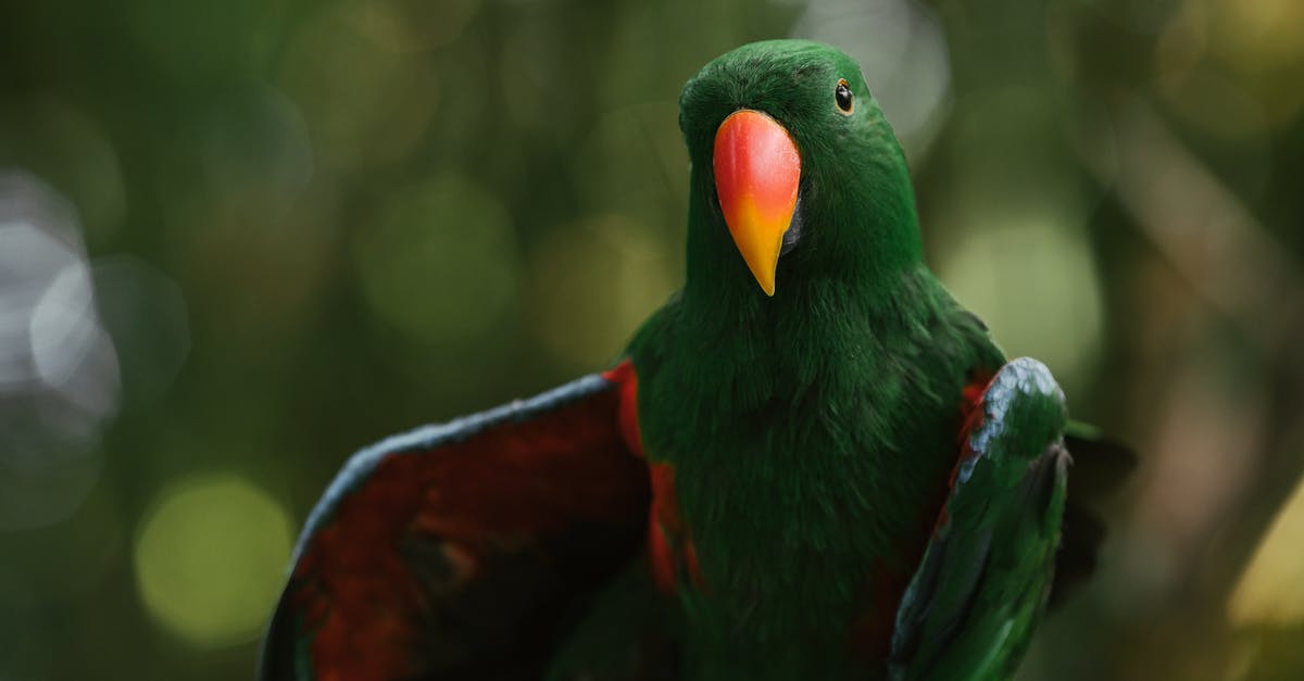 How rare are Emeralds in minecraft? - Green Red and Black Bird How rare are Emeralds in minecraft? - Green Red and Black Bird