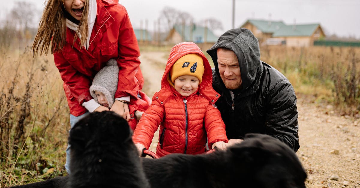 How rare is a Baby Zombie riding a spider? - A Family Outside with Their Pet Dogs